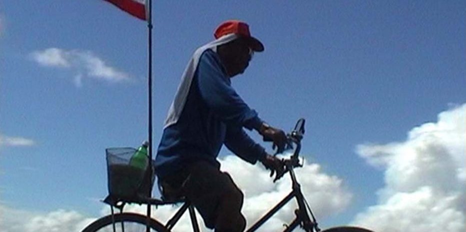 Stories from the North