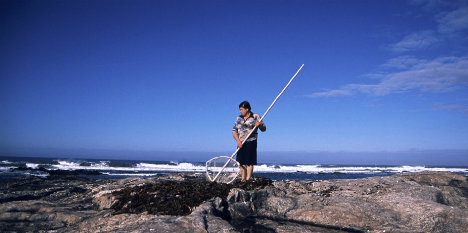 A Mãe e o Mar
