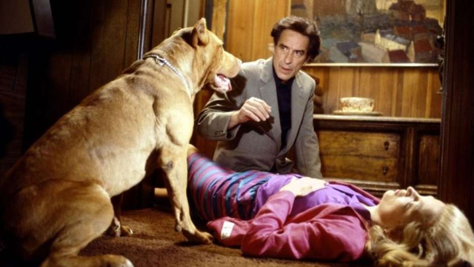 love-streams-scia-damore-1984-john-cassavetes-01.jpg
