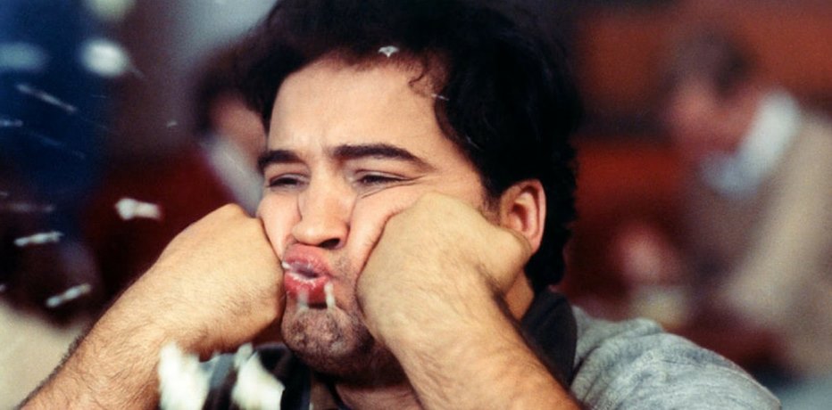 animal house recensione