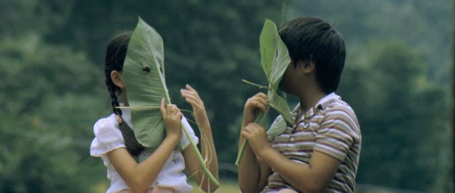 the-green-green-grass-of-home-1982-hou-hsiao-hsien-01.jpg