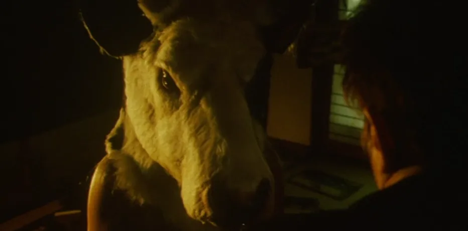 gozu recensione
