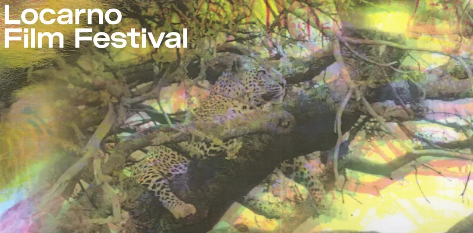 Locarno 2025