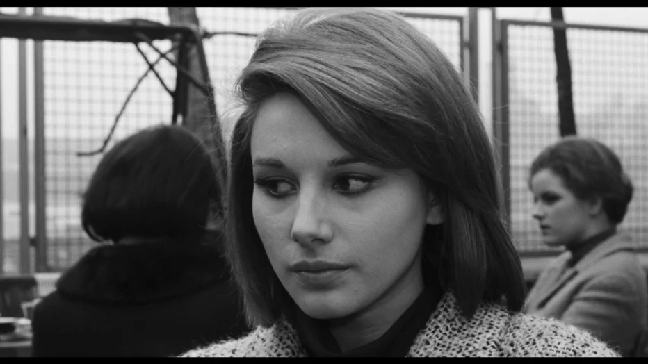 i-pugni-in-tasca-1965-marco-bellocchio-03.webp